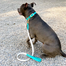 Load image into Gallery viewer, Biothane Standard Dog Leash