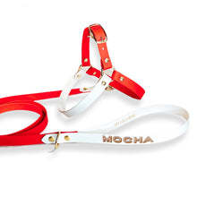 Load image into Gallery viewer, Biothane Standard Dog Leash
