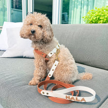 Load image into Gallery viewer, Biothane Dog Harness