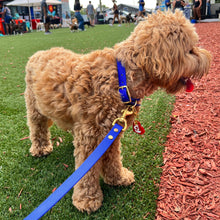 Load image into Gallery viewer, Cobalt Blue Standard Leash
