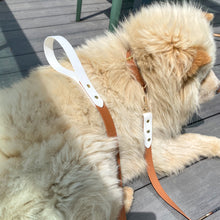 Load image into Gallery viewer, Brown and White Standard Leash
