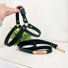 Load image into Gallery viewer, Black Standard Leash
