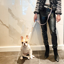 Load image into Gallery viewer, Biothane Hands Free Dog Leash