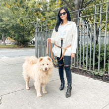 Load image into Gallery viewer, Biothane Hands Free Dog Leash