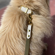 Load image into Gallery viewer, Olive and White Standard Leash