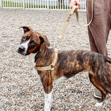 Load image into Gallery viewer, Biothane Dog Harness
