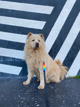 Load image into Gallery viewer, Rainbow Eye Candy Add On
