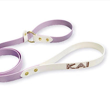 Load image into Gallery viewer, Biothane Classic Slip Lead