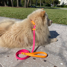 Load image into Gallery viewer, Biothane Classic Slip Lead