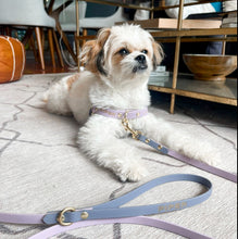 Load image into Gallery viewer, Lavender and Grey Standard Leash