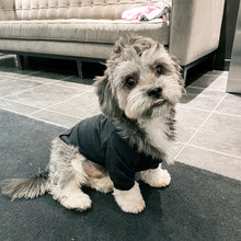 Load image into Gallery viewer, Dog Shirts - Personalized