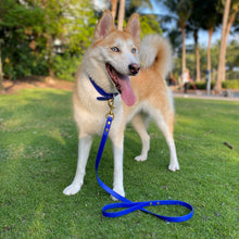 Load image into Gallery viewer, Cobalt Blue Standard Leash