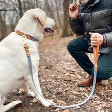 Load image into Gallery viewer, Biothane Standard Dog Leash