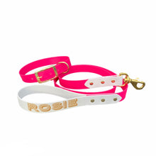 Load image into Gallery viewer, Biothane Standard Dog Leash