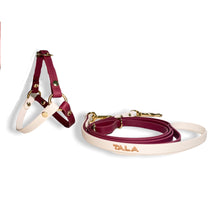 Load image into Gallery viewer, Biothane Dog Harness
