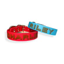 Load image into Gallery viewer, Biothane Classic Dog Collar