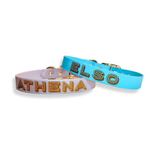 Load image into Gallery viewer, Biothane Classic Dog Collar
