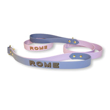 Load image into Gallery viewer, Biothane Standard Dog Leash