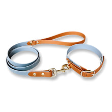 Load image into Gallery viewer, Biothane Standard Dog Leash