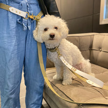 Load image into Gallery viewer, strong dog leash