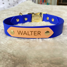 Load image into Gallery viewer, Collar With Release Buckle