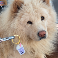 Load image into Gallery viewer, Bone Dog Tag