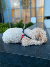 Load image into Gallery viewer, Biothane Dog Harness