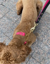 Load image into Gallery viewer, dog collars canada