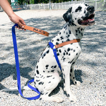 Load image into Gallery viewer, Biothane Dog Harness