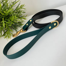 Load image into Gallery viewer, Biothane Standard Dog Leash