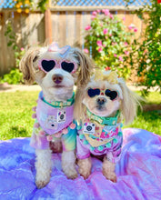 Load image into Gallery viewer, Insta Famous Dog Tag