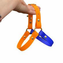 Load image into Gallery viewer, biothane dog harness