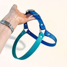 Load image into Gallery viewer, Biothane Dog Harness