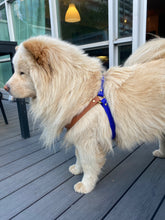 Load image into Gallery viewer, Biothane Dog Harness