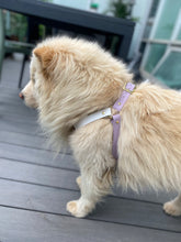 Load image into Gallery viewer, Biothane Dog Harness