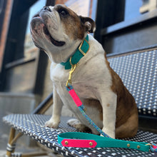Load image into Gallery viewer, Waterproof Rope Leash