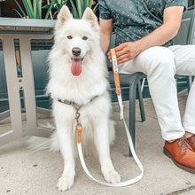 Load image into Gallery viewer, Biothane Standard Dog Leash