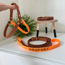 Load image into Gallery viewer, Biothane Dog Harness