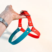 Load image into Gallery viewer, Biothane Dog Harness