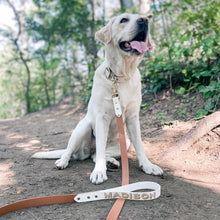Load image into Gallery viewer, dog leash canada