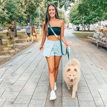 Load image into Gallery viewer, hands free dog leash