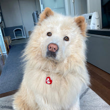 Load image into Gallery viewer, Heart Dog Tag