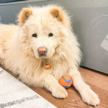 Load image into Gallery viewer, Let's Play Ball Dog Tag