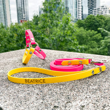 Load image into Gallery viewer, Biothane Standard Dog Leash