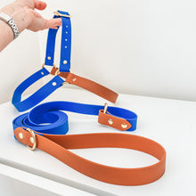 Load image into Gallery viewer, Biothane Dog Harness
