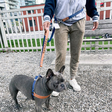 Load image into Gallery viewer, retractable dog leash