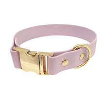 Load image into Gallery viewer, Collar With Release Buckle