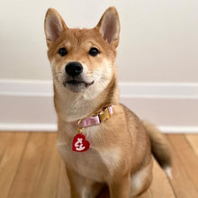 Load image into Gallery viewer, Heart Dog Tag