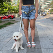 Load image into Gallery viewer, dog leash for running