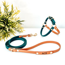Load image into Gallery viewer, Biothane Standard Dog Leash